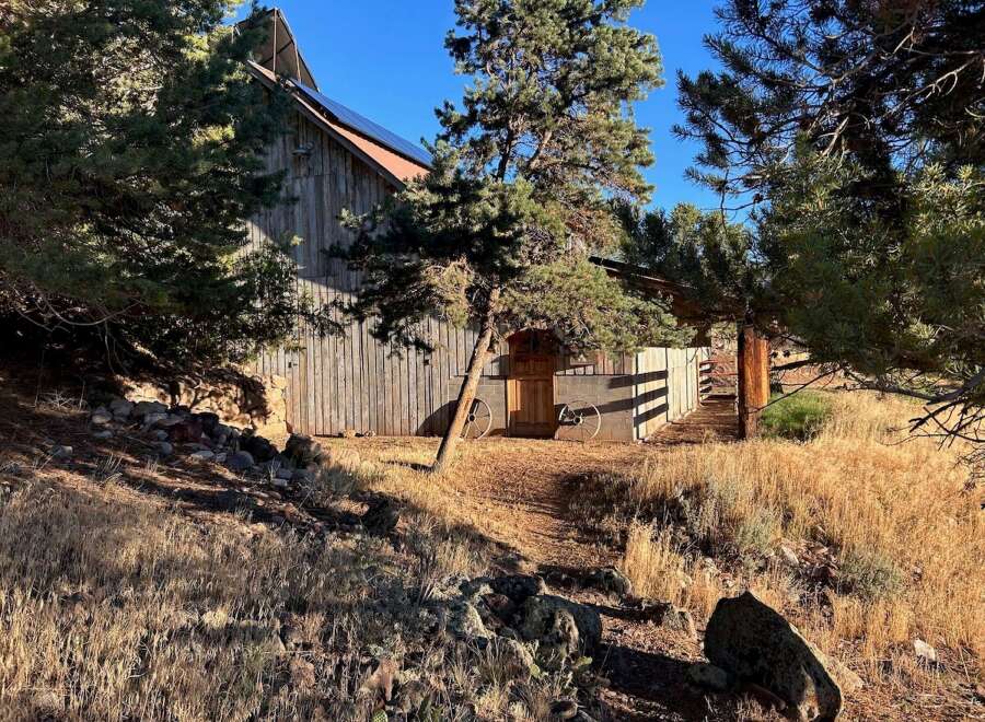 Discover this charming rustic barn nestled amongst mature pine trees, offering a unique blend of natural beauty and functional space.