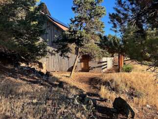 Discover this charming rustic barn nestled amongst mature pine trees, offering a unique blend of natural beauty and functional space.