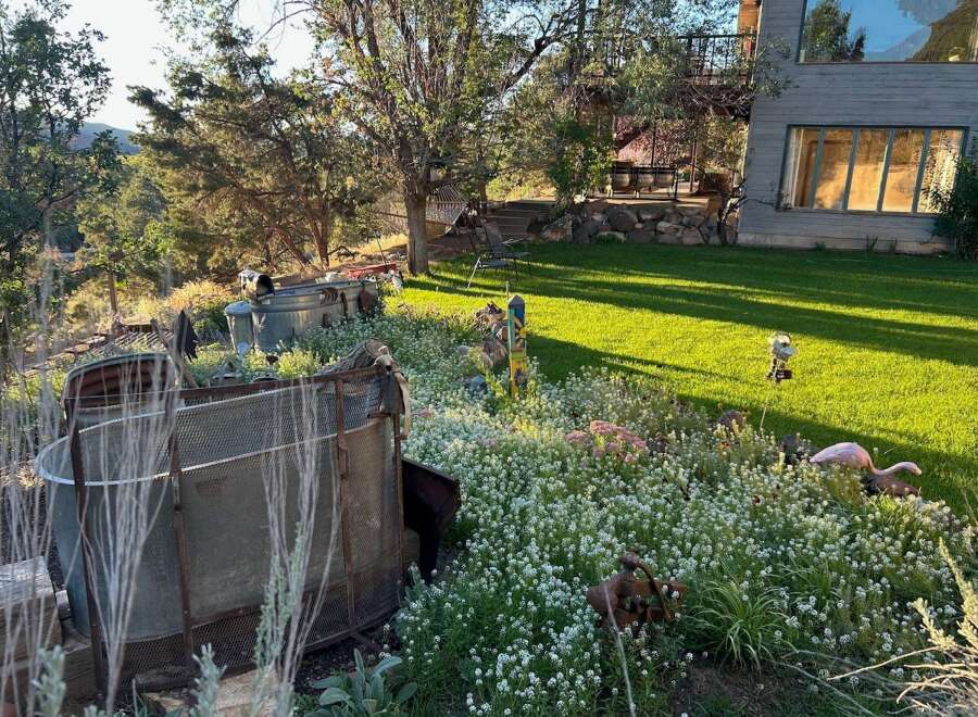 Discover a unique property with a charming backyard oasis, featuring a lush lawn perfect for relaxation and play.