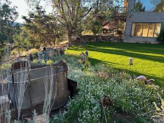 Discover a unique property with a charming backyard oasis, featuring a lush lawn perfect for relaxation and play.