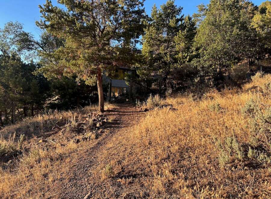 Discover your dream home nestled amidst a serene pine forest, offering unparalleled privacy and natural beauty.