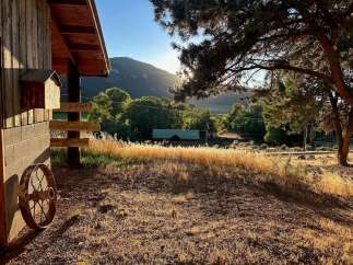 Experience rustic charm with this property featuring a wooden cabin nestled amidst lush greenery and rolling hills.
