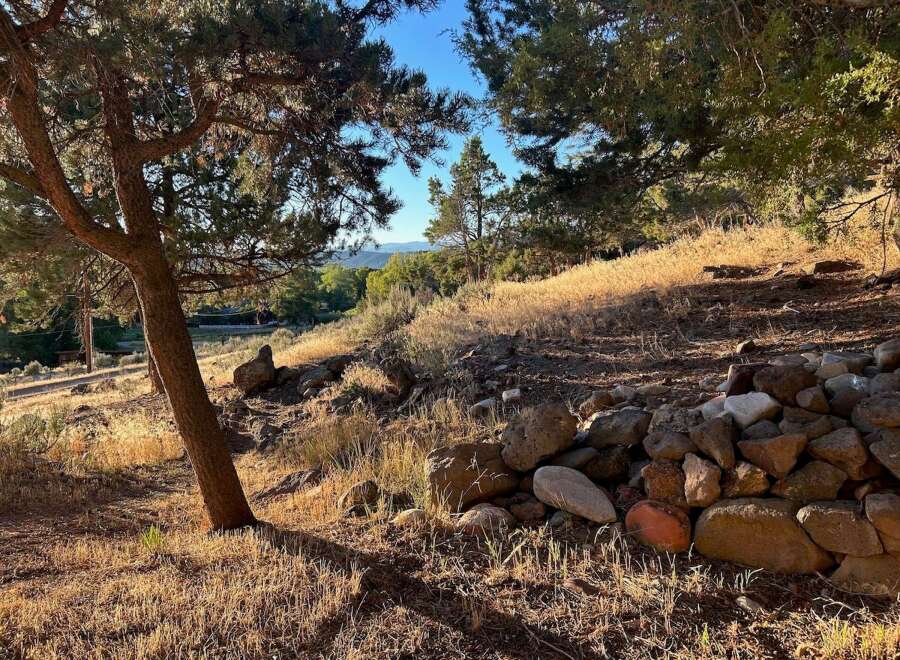 Discover this picturesque property nestled among mature trees, offering a serene and natural setting.