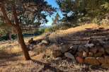Discover this picturesque property nestled among mature trees, offering a serene and natural setting.