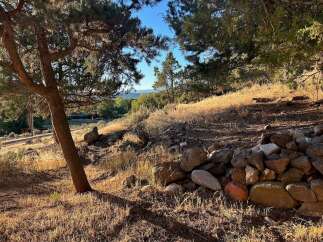 Discover this picturesque property nestled among mature trees, offering a serene and natural setting.