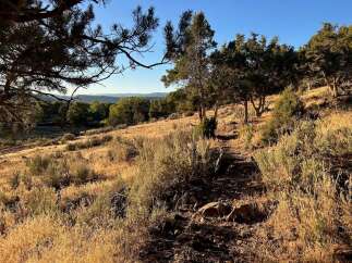 Discover this stunning property nestled in a serene, natural landscape.
