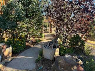Discover a charming pathway leading to a rustic wooden pergola, perfect for outdoor gatherings.