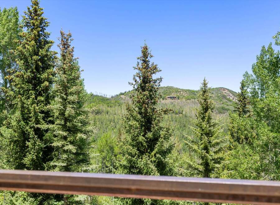 Experience breathtaking mountain views from this stunning property, nestled amidst lush greenery and towering trees.
