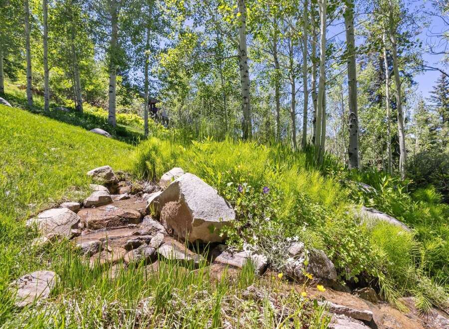 Experience the tranquility of nature with this stunning property featuring a serene stream flowing through lush greenery and mature aspen trees.