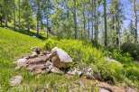 Experience the tranquility of nature with this stunning property featuring a serene stream flowing through lush greenery and mature aspen trees.
