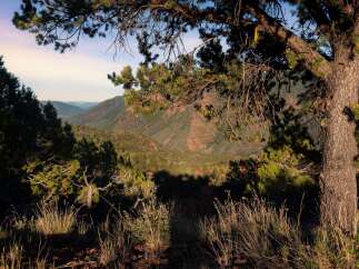Discover the beauty of nature from this stunning property, offering breathtaking views of rolling hills and lush greenery.