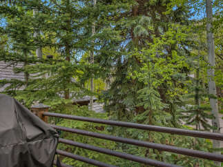 Enjoy the serene views from this property, surrounded by lush greenery and mature trees.