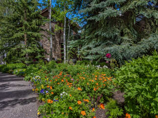 Nestled amidst lush greenery, this property boasts a charming stone facade and a tranquil garden setting.
