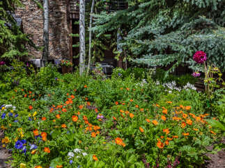 Discover the charm of this stunning property, featuring a vibrant garden bursting with colorful blooms.