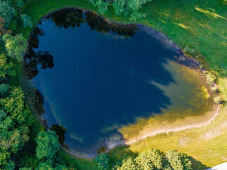 This stunning property features a serene lake surrounded by lush greenery, perfect for those seeking tranquility.