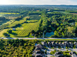 Discover the charm of this stunning property, perfectly positioned amidst lush greenery and serene landscapes.
