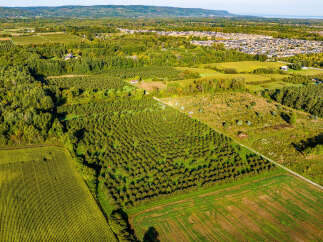 Explore this stunning aerial view of a sprawling agricultural landscape, perfect for those seeking a rural retreat or investment opportunity.
