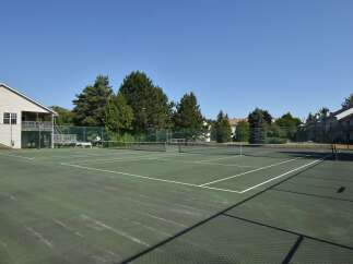 Enjoy the outdoors with this fantastic tennis court! This property features a well-maintained court, perfect for recreational play or serious practice.