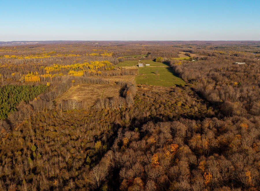 Experience the beauty of autumn from this aerial view of a sprawling property.
