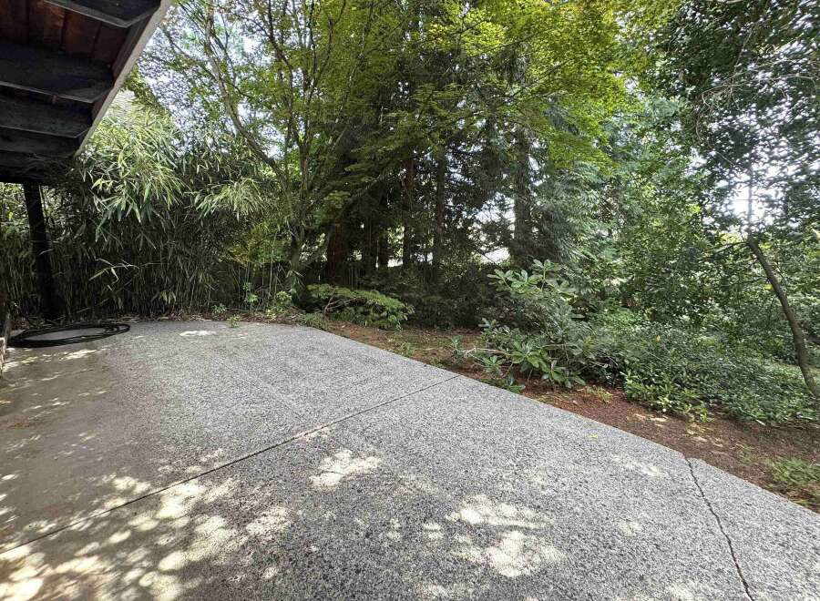 Enjoy the lush greenery surrounding this property, featuring a spacious concrete patio perfect for outdoor entertaining.