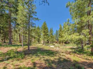 Discover the tranquility of this stunning property surrounded by lush greenery and towering trees.