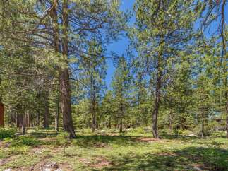 Discover the tranquility of this stunning property surrounded by lush greenery and towering trees.