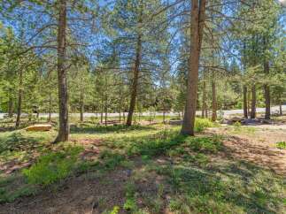 Discover the tranquility of this stunning property surrounded by lush greenery and towering trees.
