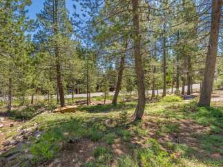 Discover the tranquility of this stunning property surrounded by lush greenery and towering trees.