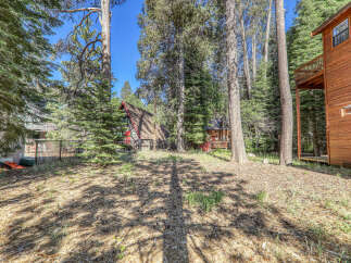 Nestled amidst towering trees, this charming cabin offers a serene escape.