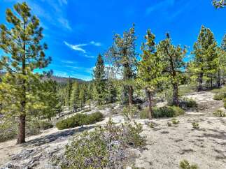 Explore the beauty of nature with this stunning landscape featuring lush green trees and a vibrant blue sky.