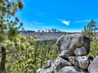 Discover the beauty of nature with this stunning property.