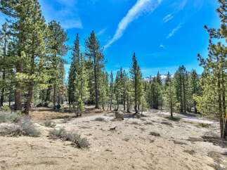 Explore the beauty of nature in this stunning property surrounded by lush pine trees.