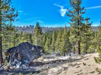 Discover the beauty of nature with this stunning property.