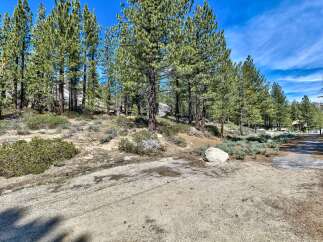 Discover the tranquility of this stunning property surrounded by lush greenery and towering trees.