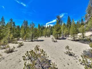 Explore the serene beauty of this property, surrounded by lush evergreen trees and a vast, sandy landscape.