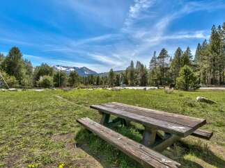 Enjoy the tranquility of nature with this charming picnic area.