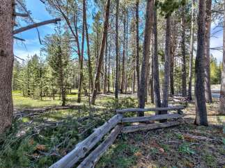 Explore the tranquility of this stunning forest property, perfect for nature enthusiasts and those seeking a peaceful retreat.