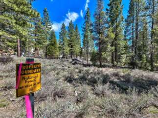 Explore the beauty of this National Forest property, perfect for outdoor enthusiasts.