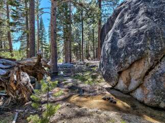 Explore the tranquility of this stunning natural landscape, perfect for outdoor enthusiasts.