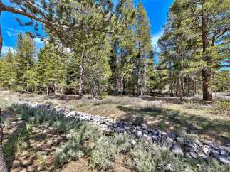 Discover the tranquility of this stunning property nestled in a lush forest setting.