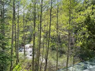 Enjoy the tranquility of nature from this stunning property.