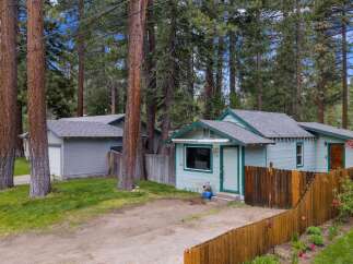 Charming cottage nestled amongst towering trees, offering a serene escape.