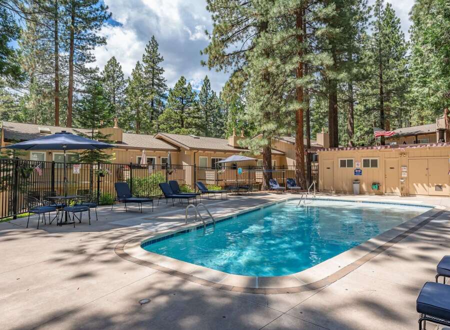 Enjoy a refreshing dip in the sparkling blue swimming pool, surrounded by lush pine trees and comfortable lounge chairs.