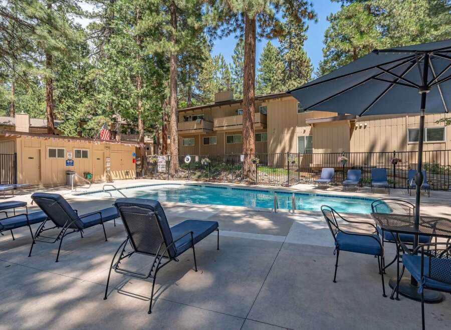 Enjoy a refreshing dip in the sparkling blue pool, surrounded by lush trees and comfortable lounge chairs.