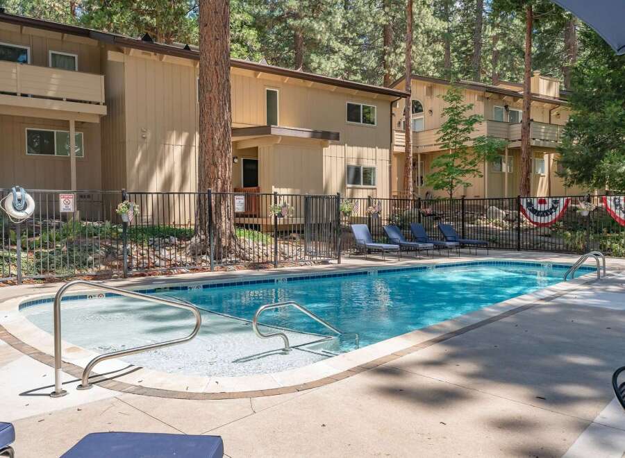 Enjoy a refreshing dip in the sparkling blue swimming pool, surrounded by lush greenery and mature pine trees.