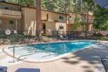 Enjoy a refreshing dip in the sparkling blue swimming pool, surrounded by lush greenery and mature pine trees.