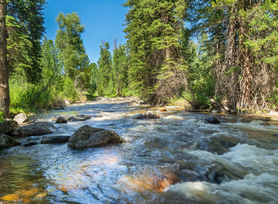 Experience the tranquility of this stunning natural landscape, featuring a pristine river flowing through a lush forest.