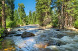 Experience the tranquility of this stunning natural landscape, featuring a pristine river flowing through a lush forest.