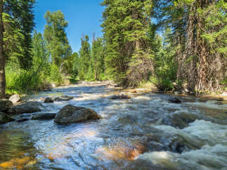 Experience the tranquility of this stunning natural landscape, featuring a pristine river flowing through a lush forest.