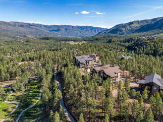 Experience luxury mountain living in this stunning property nestled amidst a dense pine forest.